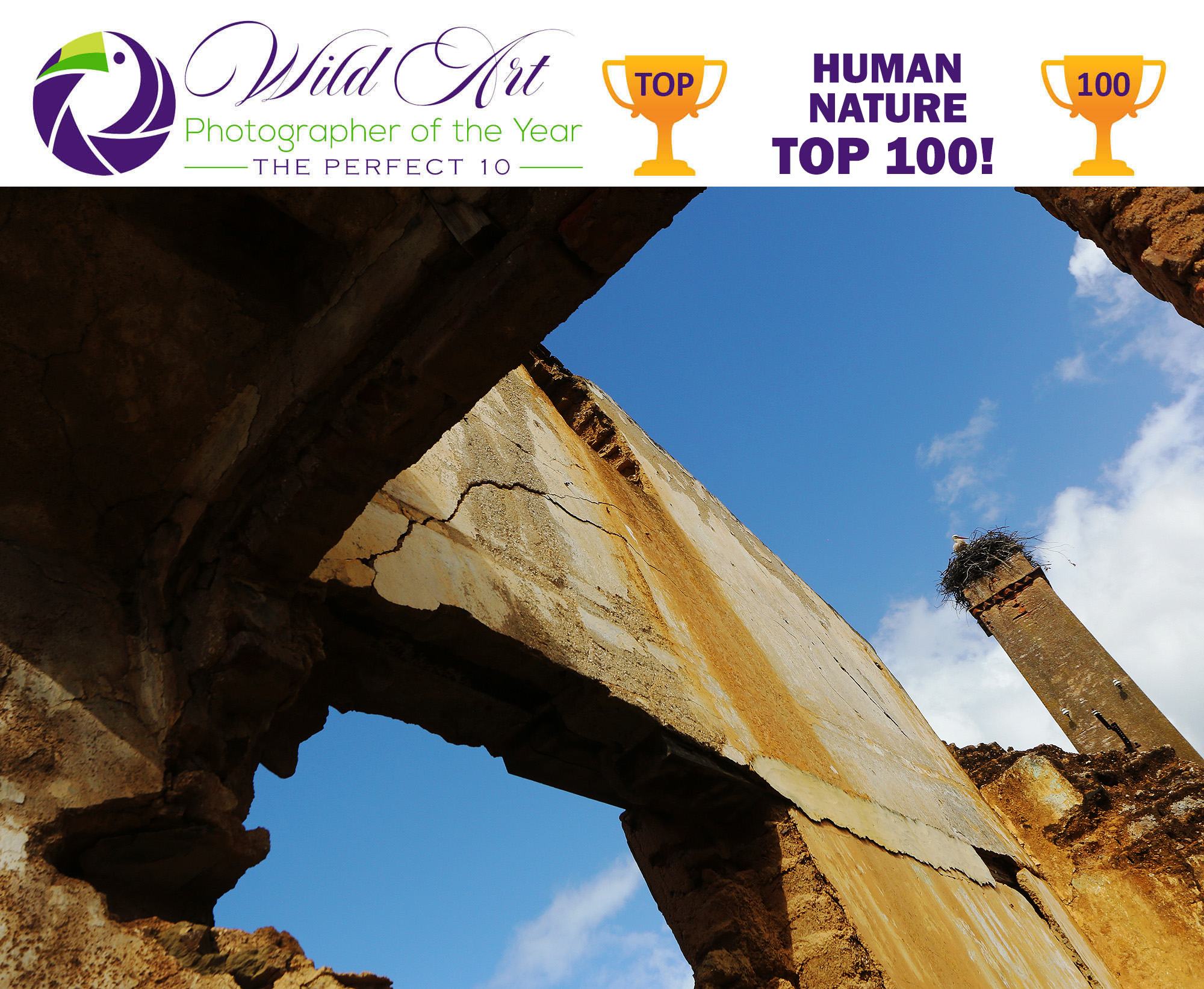 Human-Nature-Top-100-Soltys-1