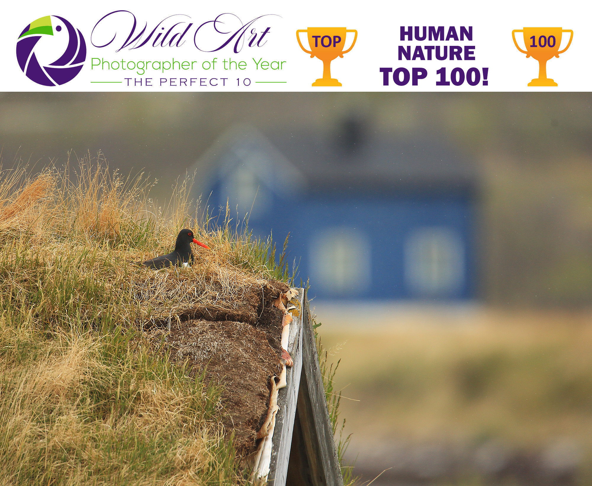 Human-Nature-Top-100-Soltys-3