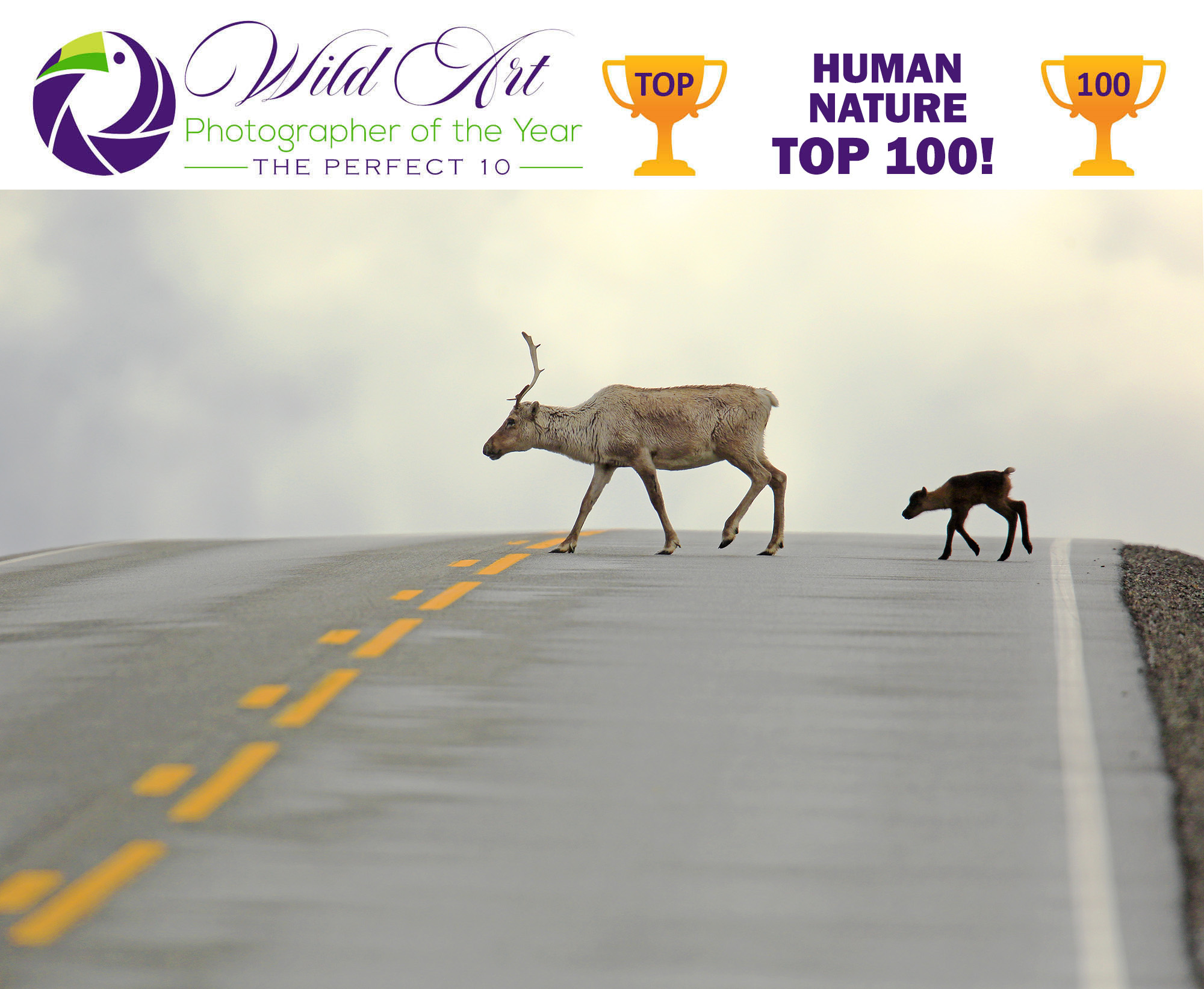 Human-Nature-Top-100-Soltys-5