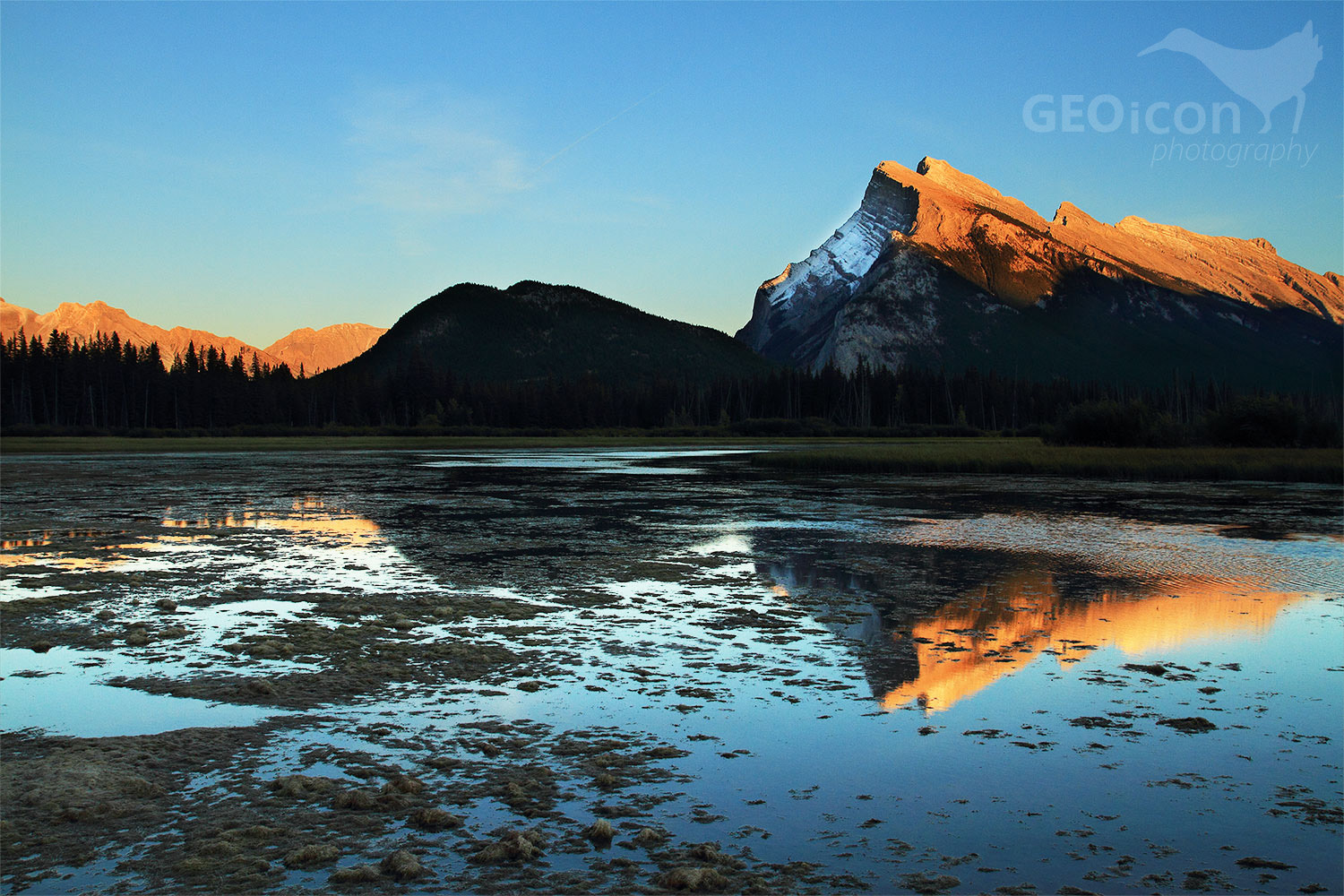 NP Banff