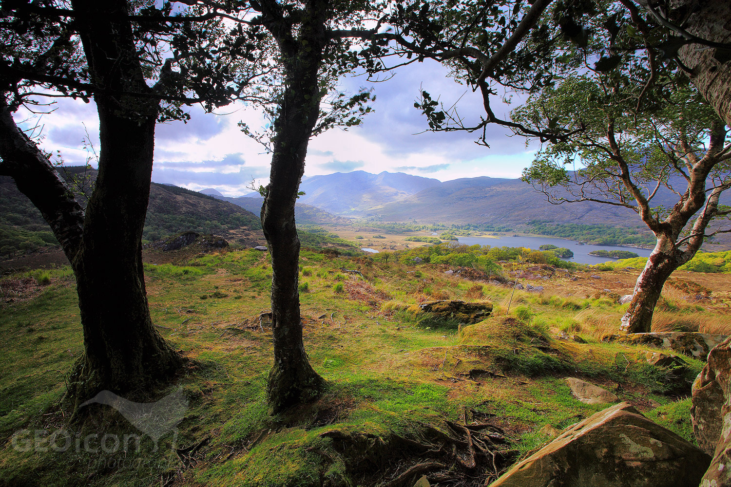 Killernay national park
