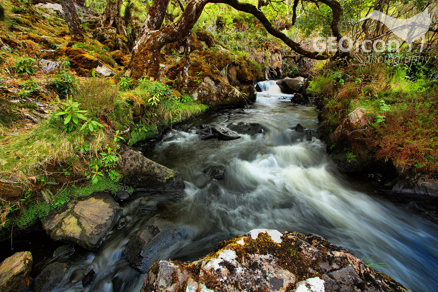 Killernay national park