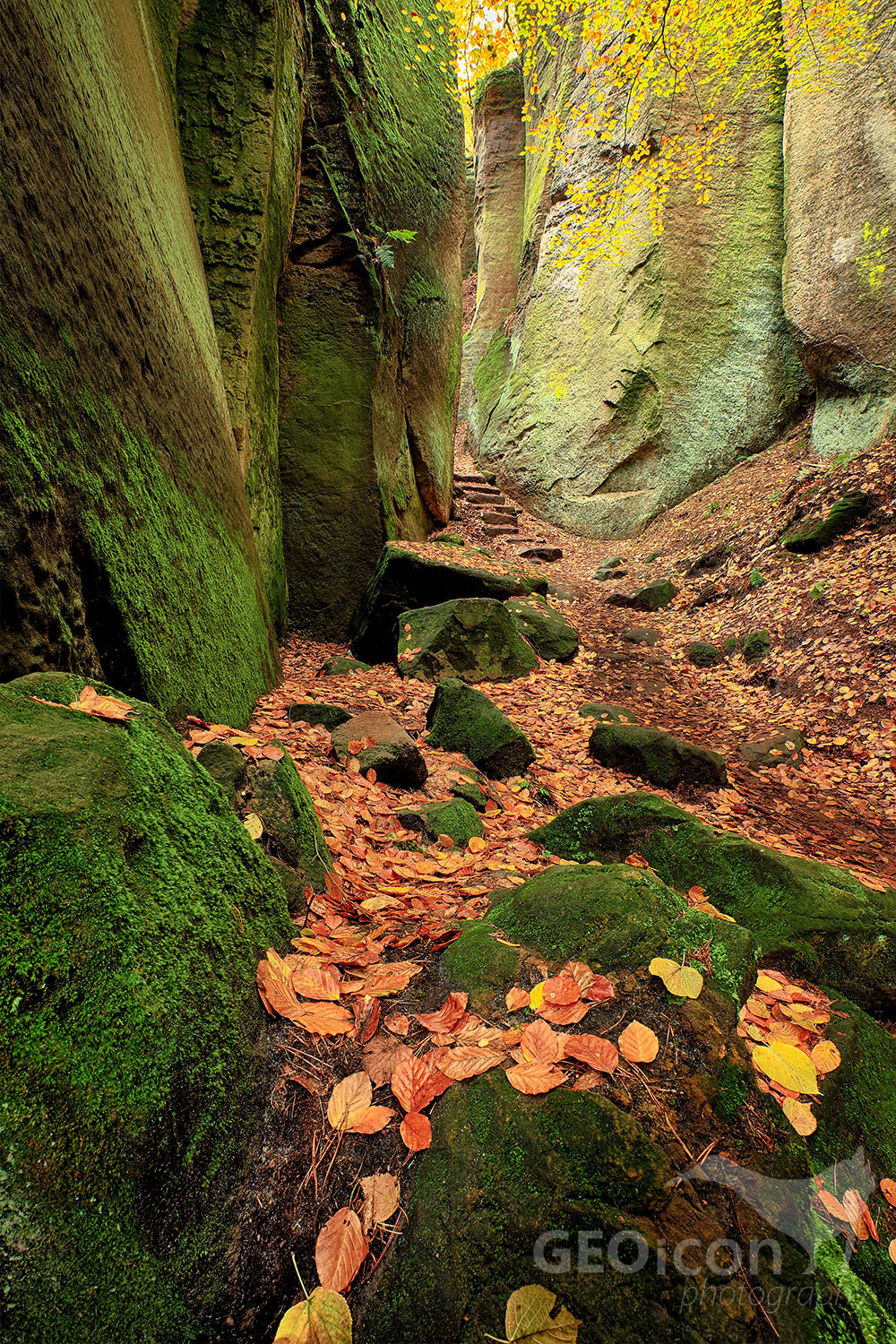 Prachov rocks, Bohemian paradise