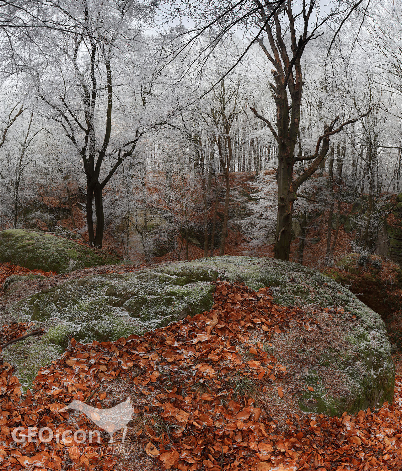 Prachov rocks, Bohemian paradise