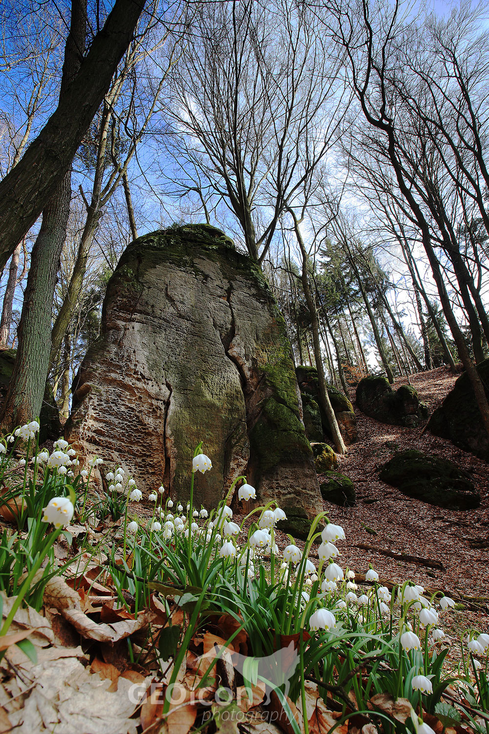 Prachov rocks, Bohemian paradise