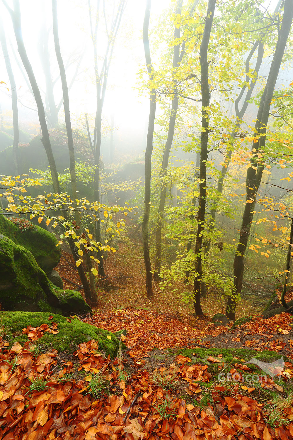 Prachov rocks, Bohemian paradise, Czech republic.