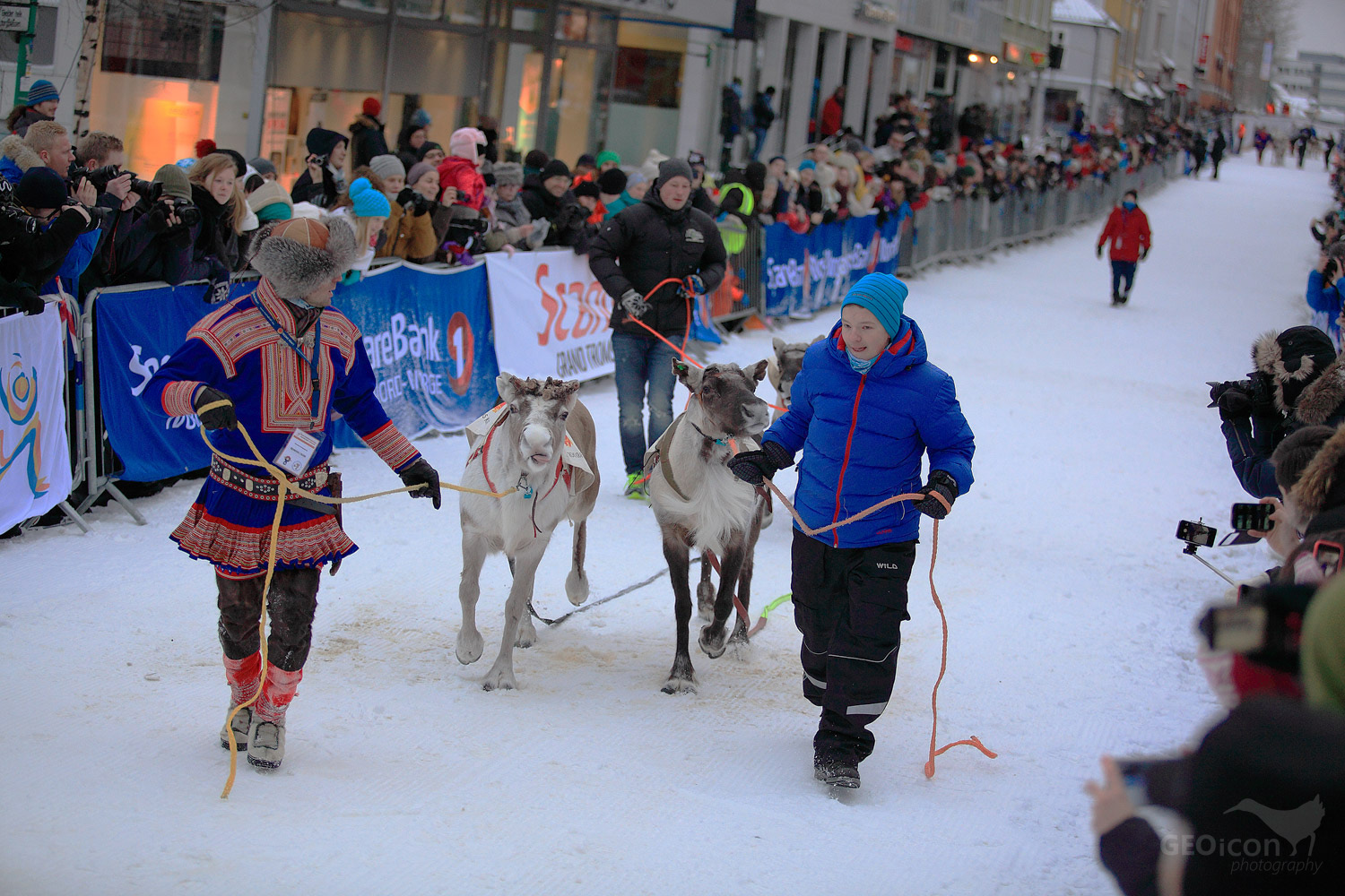 Reideer races in Tronso