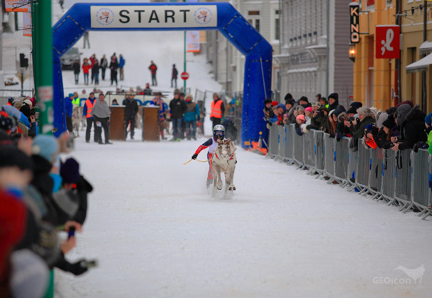 Reideer races in Tronso