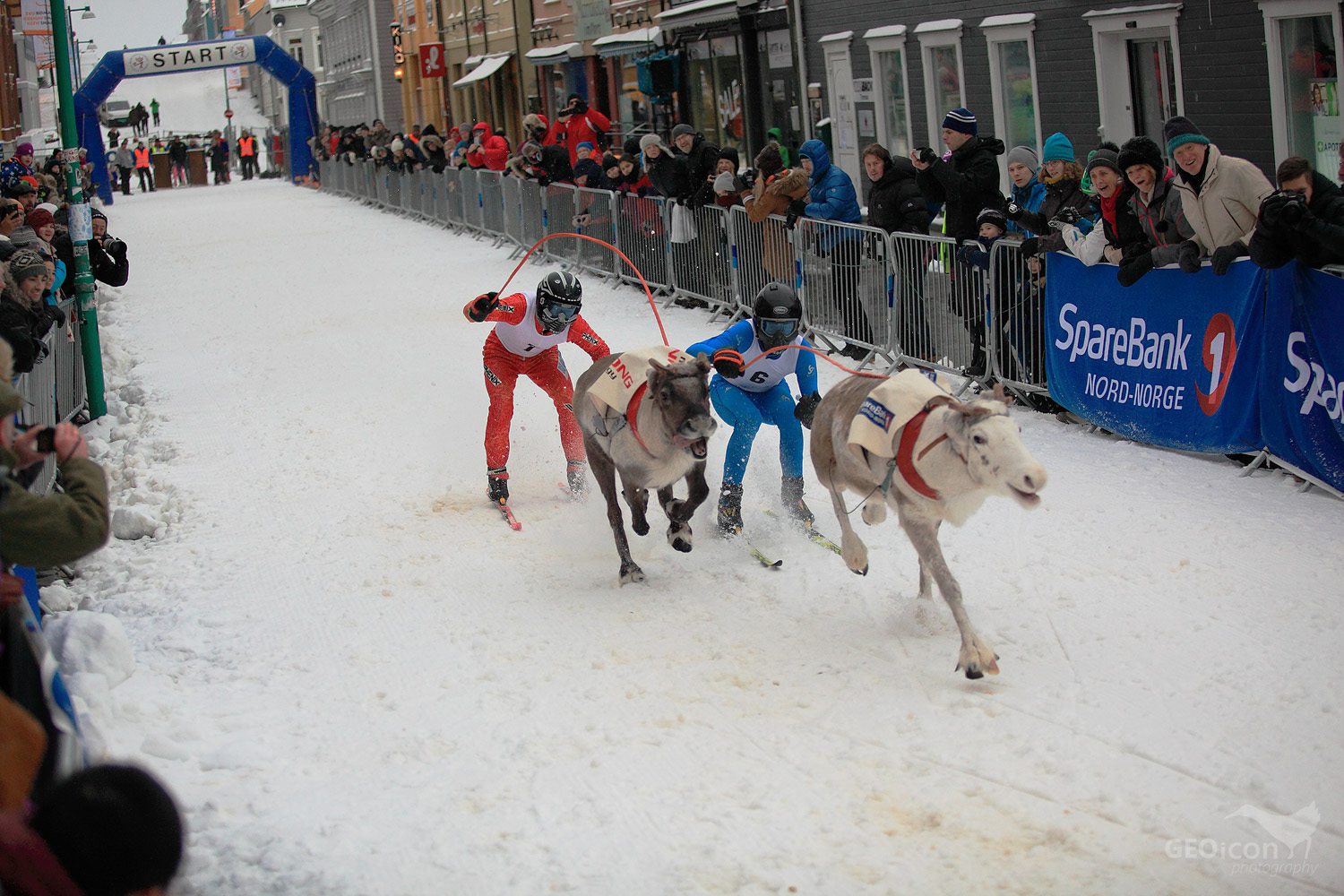 Reideer races in Tronso
